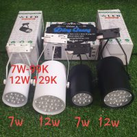 Đèn Rọi Ray 7w, 12w