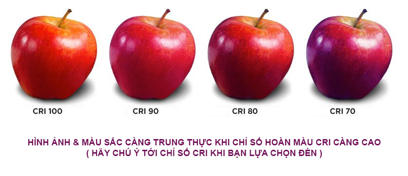 den chong can can co CRI cao hon 80 1 - Chỉ số hoàn màu CRI của đèn Led là gì?